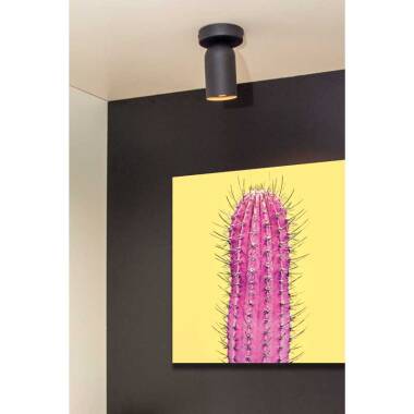 Image of Lucide Punch Single Spotlight