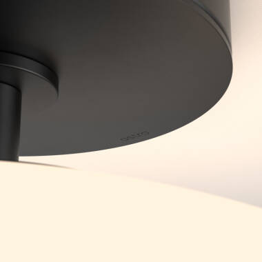 Image of Astro Zeppo Semi