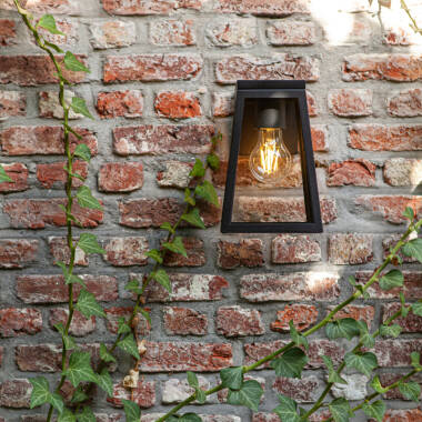 Image of Lutec Fia Solar LED Outdoor Lantern Wall Light