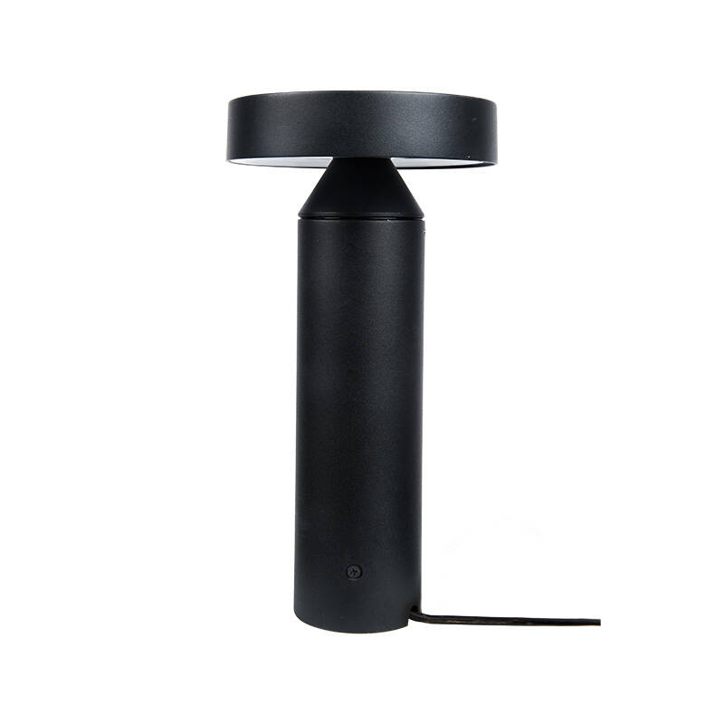 Image of EasyFit Core 12v Garden Lights - Birch LED Outdoor Post Light