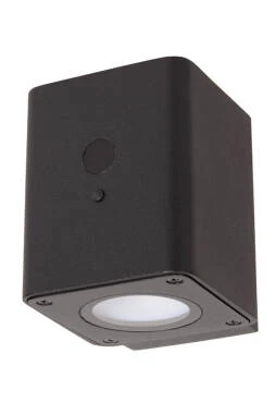 Lucide Ramin Solar LED Outdoor Wall Light with PIR Sensor