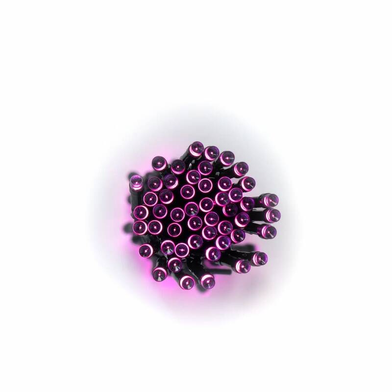 Image of Suri Zesty Solar LED Fairy Lights