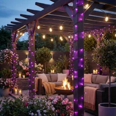 Suri Zesty Solar LED Fairy Lights
