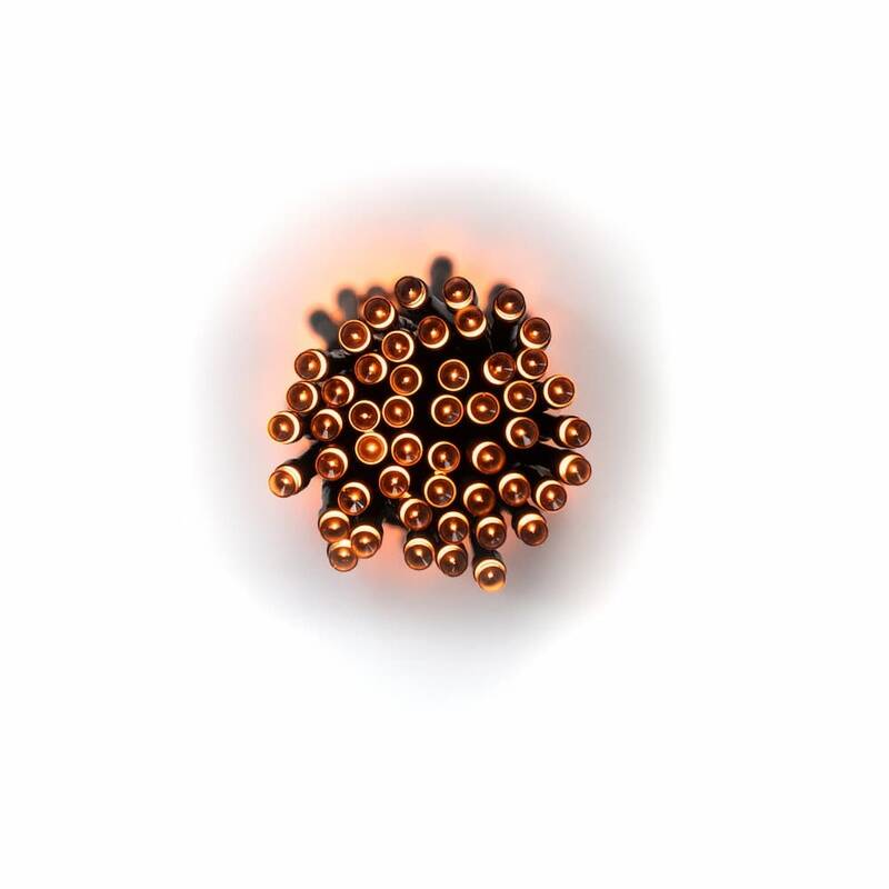Image of Suri Zesty Solar LED Fairy Lights