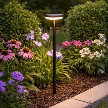 Image of Easyfit Pro 24v Garden Lights - Foxglove LED Outdoor Feature Stake Light