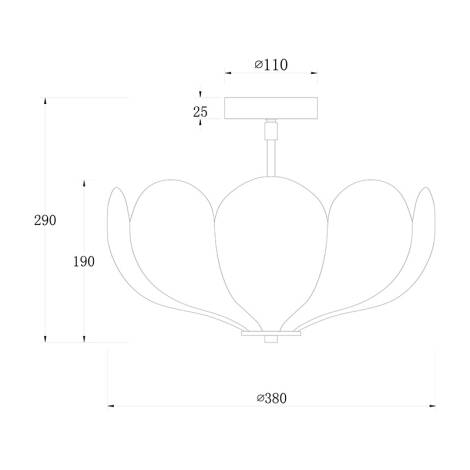 Scheme image