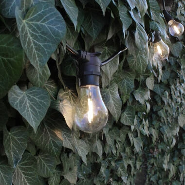 Image of 2W Warm White Non-Dimmable LED Decorative Filament GLS Bulb