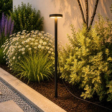 Easyfit Pro 24v Garden Lights - Foxglove LED Outdoor Feature Stake Light