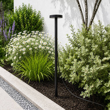 Image of Easyfit Pro 24v Garden Lights - Foxglove LED Outdoor Feature Stake Light