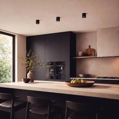 Image of Edit Space Ceiling Spotlight