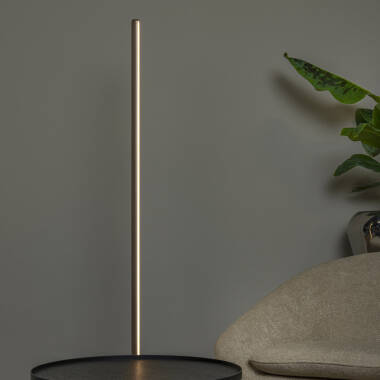 Lucide Braga LED Touch Floor Lamp