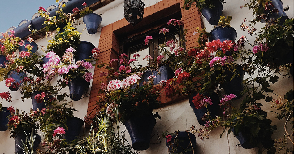 floral wall