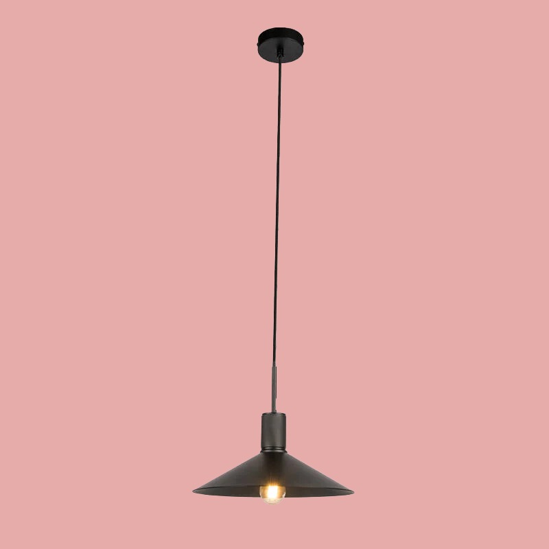 Black Ceiling Lights