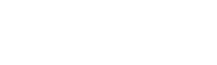 Easyfit Logo