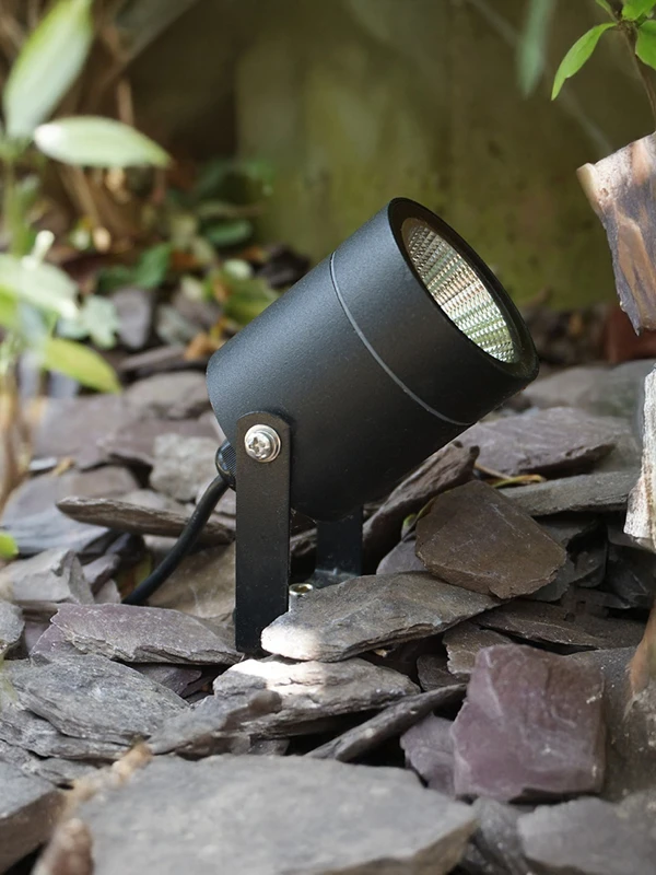 Fern Garden Spotlight