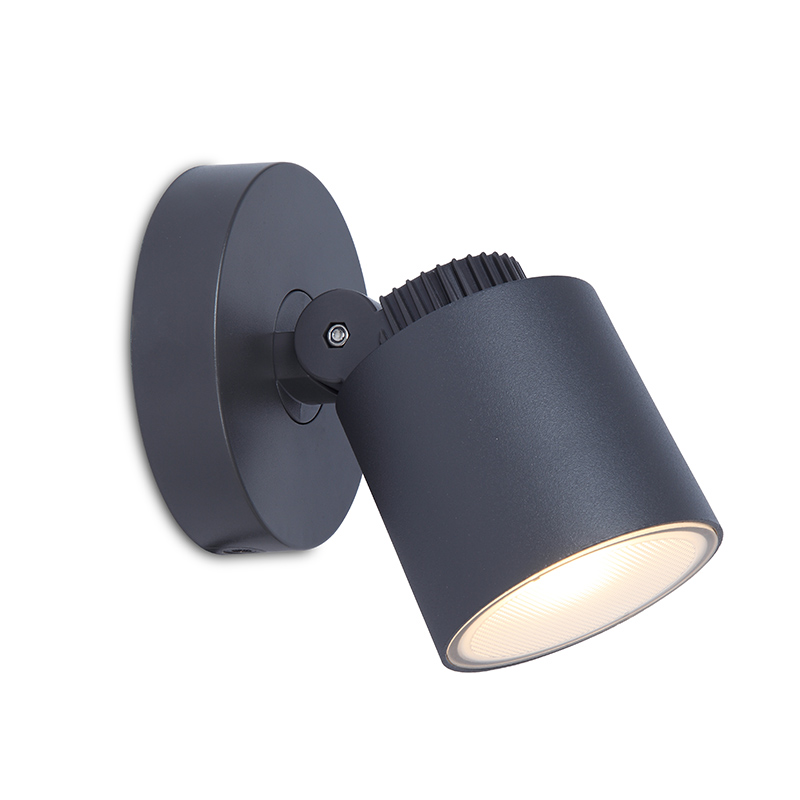 Lutec Explorer LED Outdoor Wall Mounted Spotlight - Dark Grey