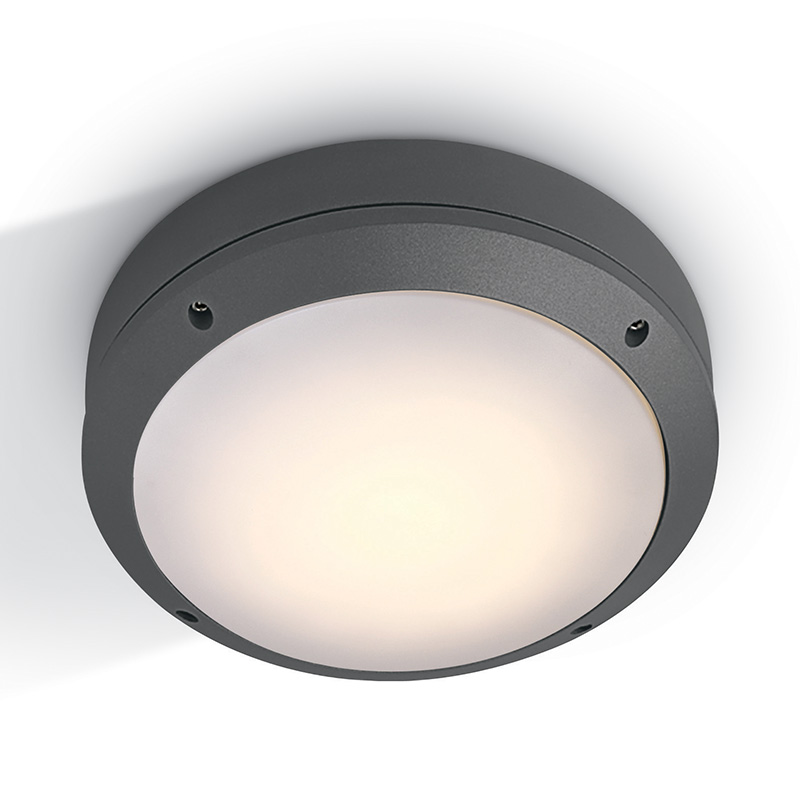 Guard Outdoor Round Flush Light - Anthracite